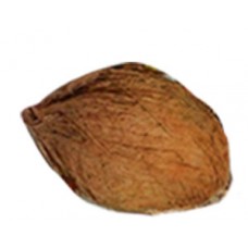 Pooja Coconut - Pooja Nariyal
